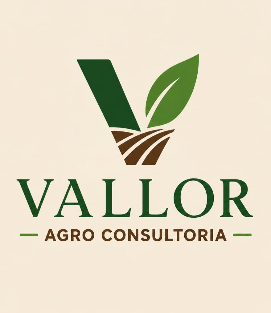 Vallor Agro Consultoria